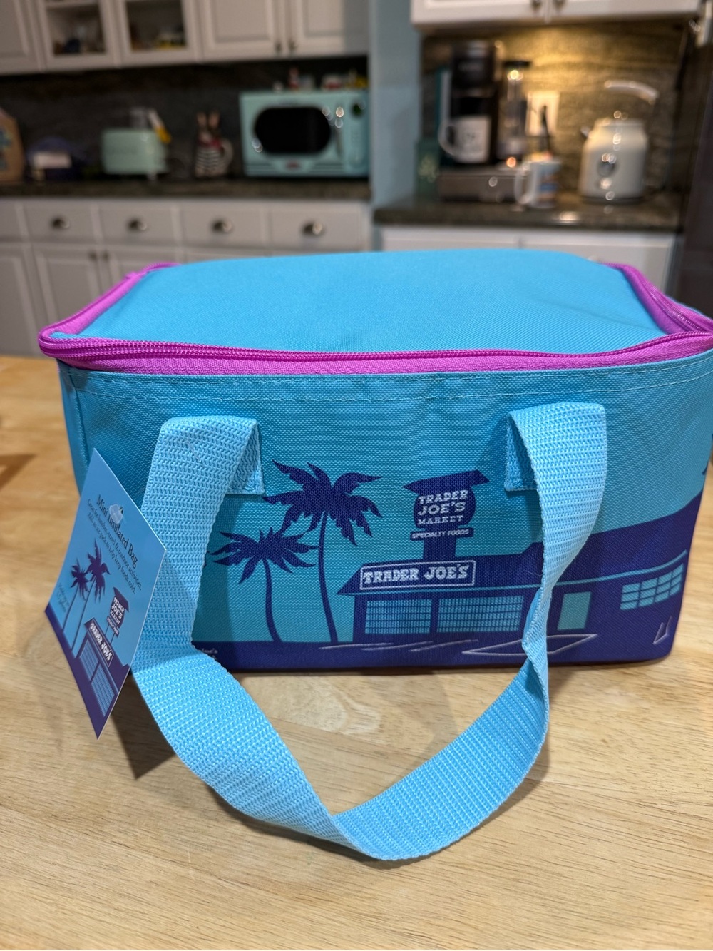 Trader Joe's Turquoise & Purple Insulated Lunch Bag